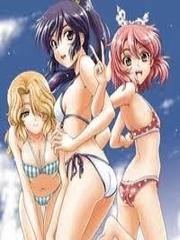 Kimiiro Focus [NEW]